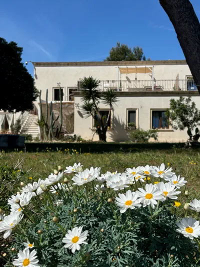 Lounge all'aperto