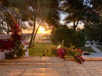 Sentiero del giardino