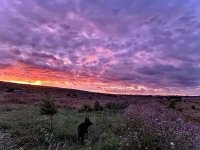 Tramonto sulla campagna